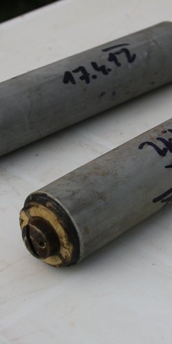 2013 Svojek Mirek Topinka